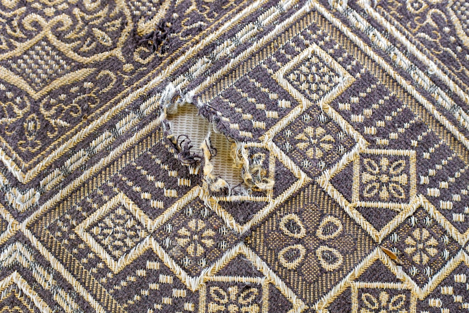 Rug moth damage on a wool area rug showing pile eaten away down to the foundation