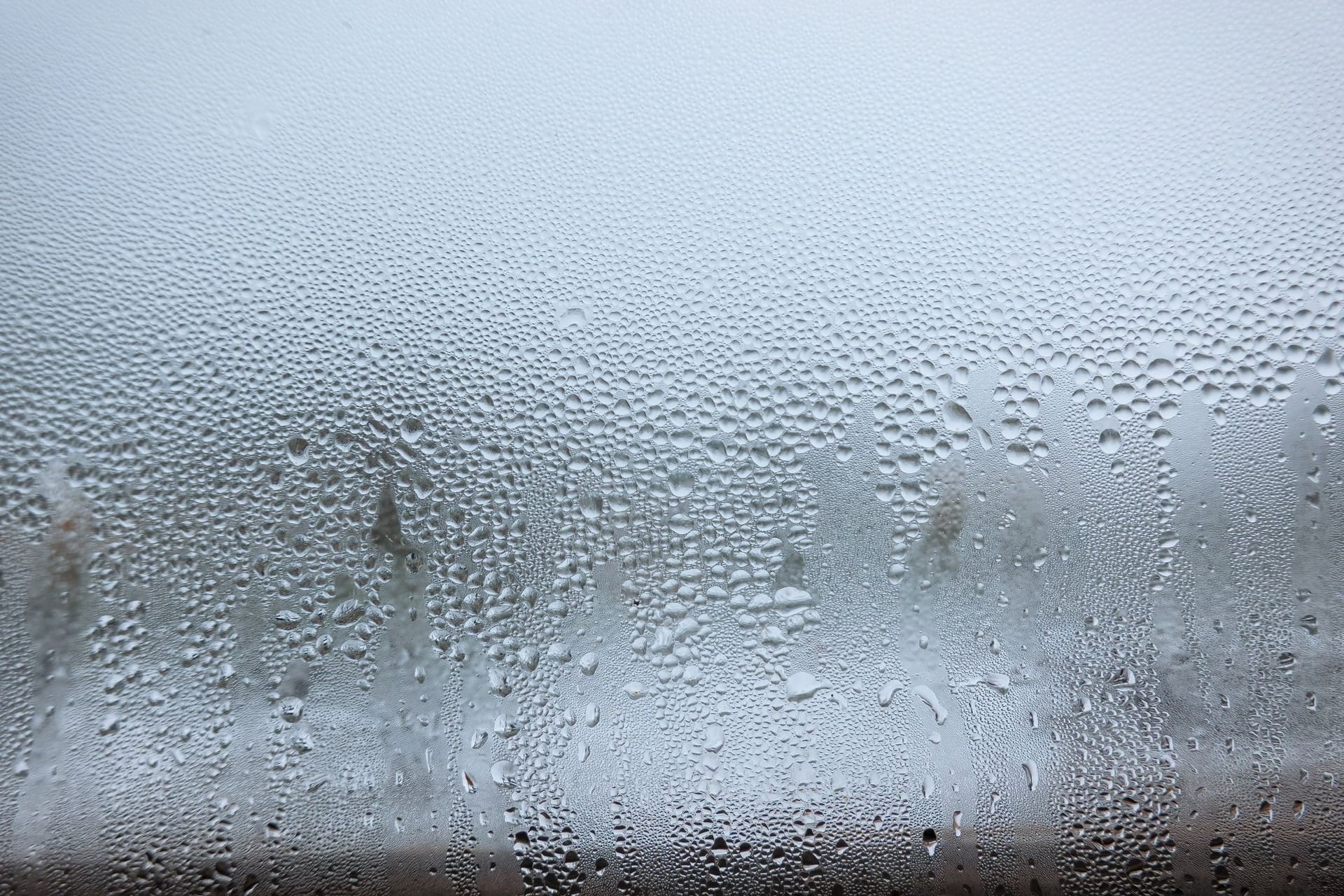 High humidity inside an Atlanta home affecting area rugs