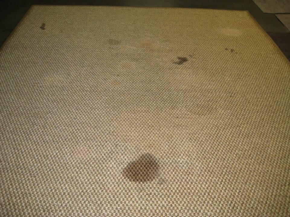 Before: Area rug with deep-set stains requiring professional stain removal treatment