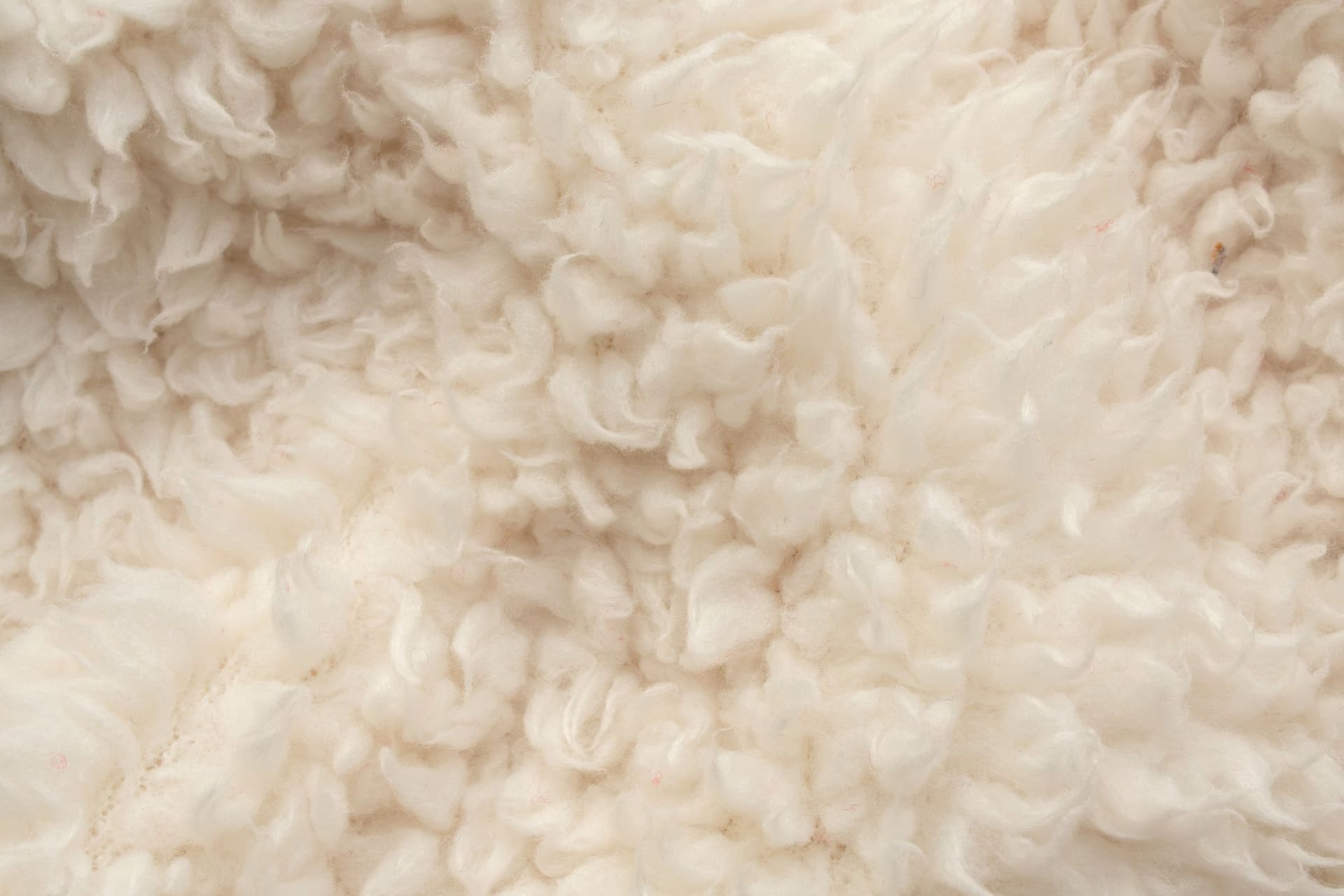 Close-up of natural wool rug fibers showing the pile direction that determines how a rug should be rolled for storage