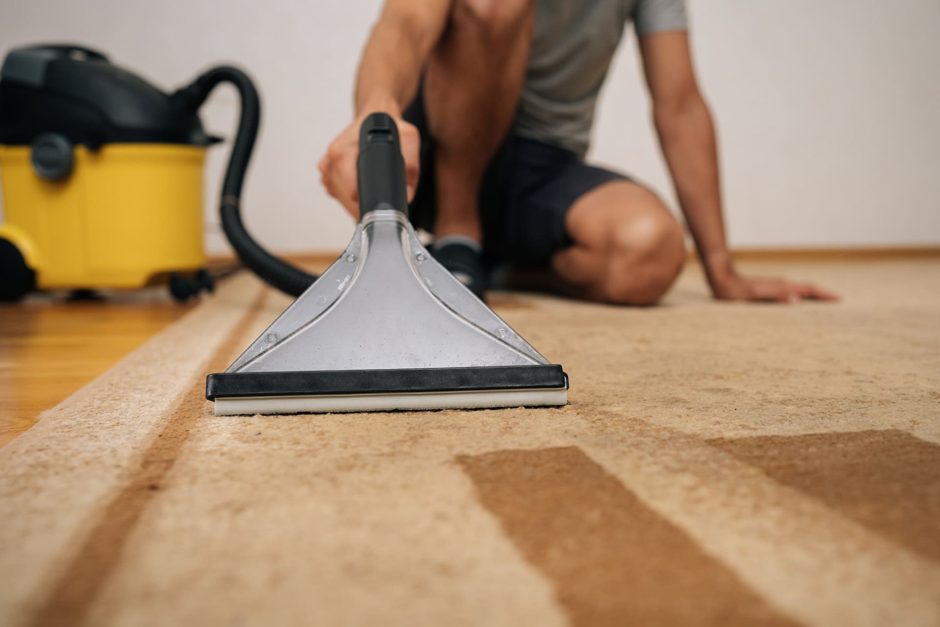 Professional rug cleaning vs DIY carpet cleaner - safe methods for area rugs