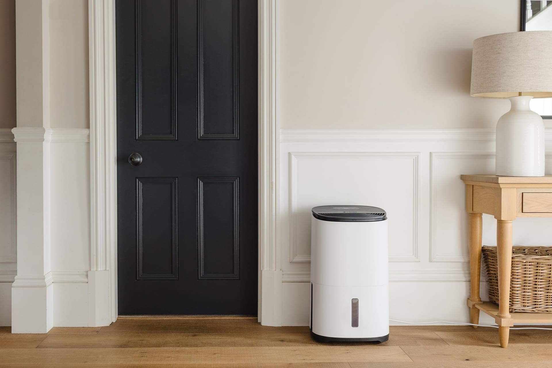 Using a dehumidifier to protect area rugs in an Atlanta home