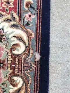 https://www.therugcleaners.com/wp-content/uploads/2020/06/carpet-moth-damage-example.jpg