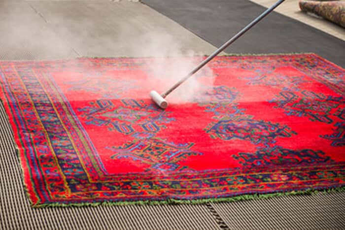 Carpet Cleaner on Persian Rug