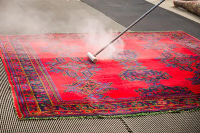 Carpet Steam Cleaning